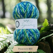West Yorkshire Spinners Signature 4 Ply - Country Birds PEACOCK