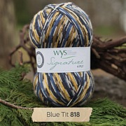 West Yorkshire Spinners Signature 4 Ply - Country Birds BLUE TIT