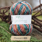 West Yorkshire Spinners Signature 4 Ply - Country Birds PHEASANT