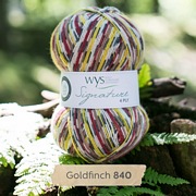 West Yorkshire Spinners Signature 4 Ply - Country Birds GOLDFINCH