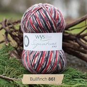 West Yorkshire Spinners Signature 4 Ply - Country Birds BULLFINCH