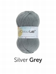 WYS Colour Lab DK Silver Grey (137)