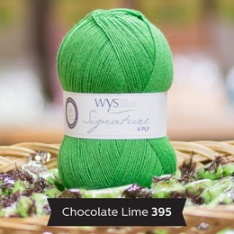 WYS Chocolate Lime 395
