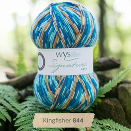 WYS Kingfisher 844