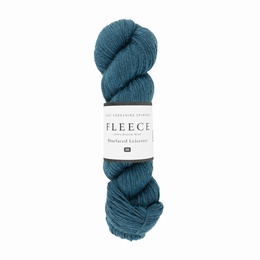 WYS - Fleece - Blue Faced Leicester DK Ravine 1041