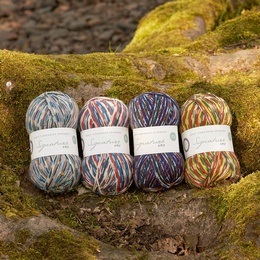 WYS New Country Birds Yarn and Book Bundle